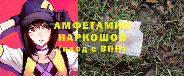 шишки Абаза