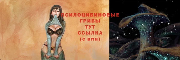 СК Абдулино