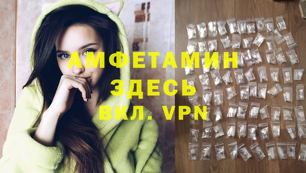 твердый Алзамай